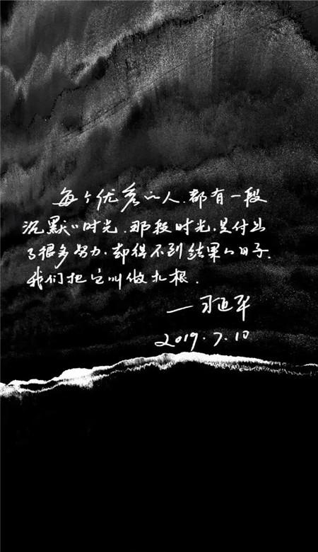 可爱的小考拉